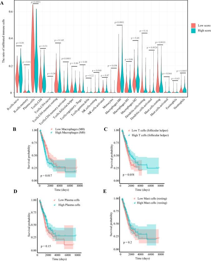 https://cdn.ncbi.nlm.nih.gov/pmc/blobs/8499/10991872/e4b738790974/262_2020_2817_Fig7_HTML.jpg