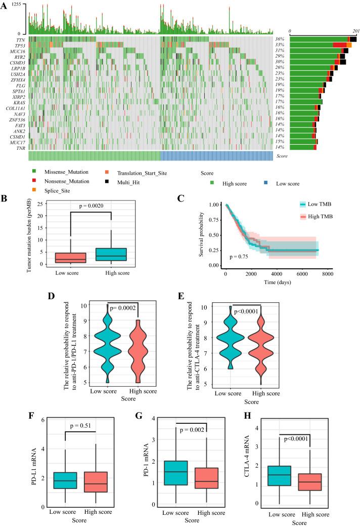 https://cdn.ncbi.nlm.nih.gov/pmc/blobs/8499/10991872/f9c1e1b62071/262_2020_2817_Fig8_HTML.jpg
