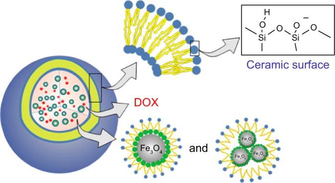 https://cdn.ncbi.nlm.nih.gov/pmc/blobs/8499/6408922/e36a4621e67d/ijn-14-1707Fig8.jpg