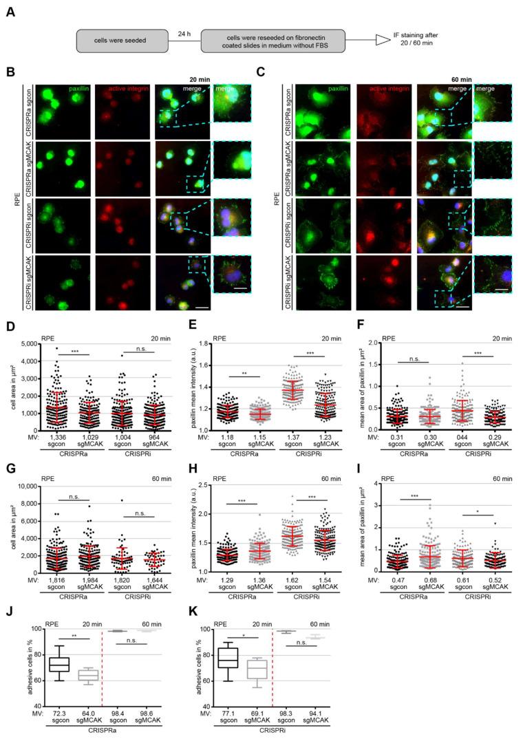 https://cdn.ncbi.nlm.nih.gov/pmc/blobs/849a/8616312/3cae3b337ae8/cancers-13-05673-g004.jpg