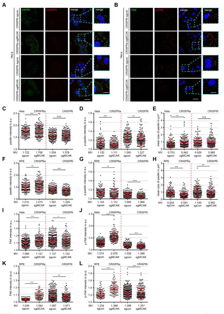 https://cdn.ncbi.nlm.nih.gov/pmc/blobs/849a/8616312/994e25284005/cancers-13-05673-g003.jpg