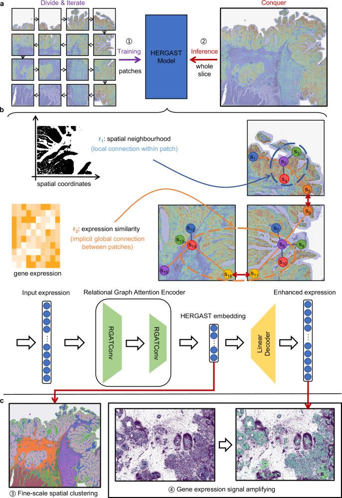 https://cdn.ncbi.nlm.nih.gov/pmc/blobs/849b/12037780/154cefcd1d29/41467_2025_59139_Fig1_HTML.jpg