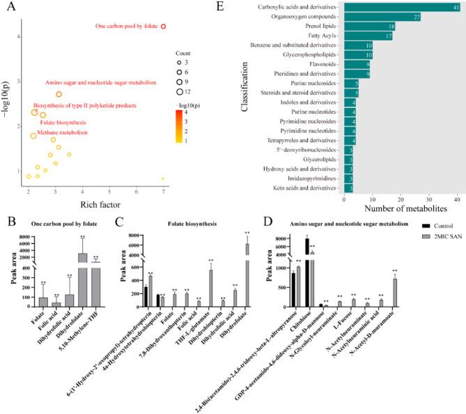 https://cdn.ncbi.nlm.nih.gov/pmc/blobs/849b/12054291/50df5a461f1a/12866_2025_3992_Fig6_HTML.jpg
