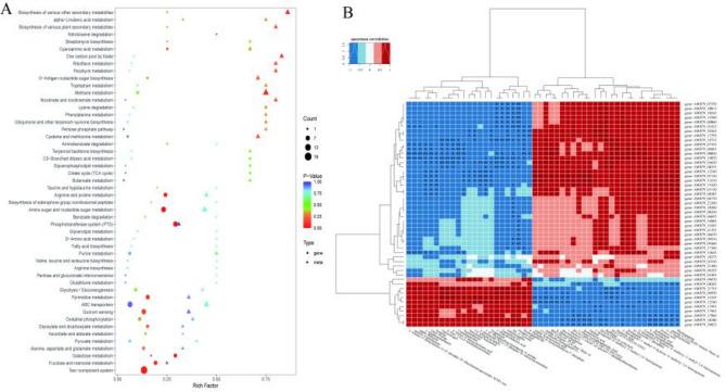 https://cdn.ncbi.nlm.nih.gov/pmc/blobs/849b/12054291/76cfb076f05e/12866_2025_3992_Fig7_HTML.jpg