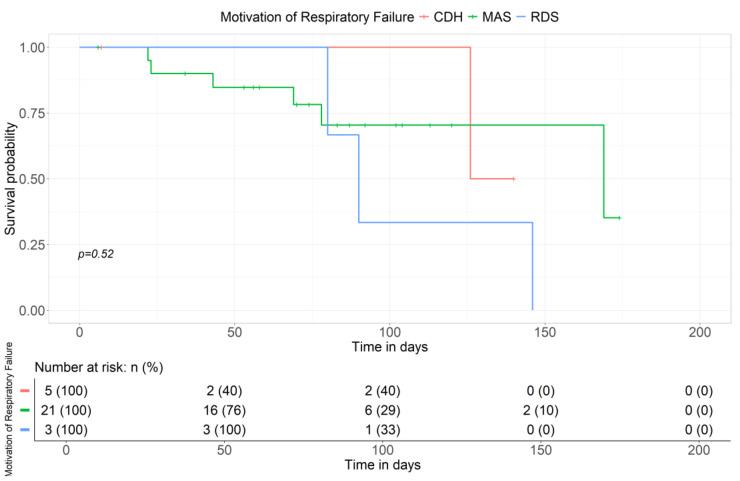 https://cdn.ncbi.nlm.nih.gov/pmc/blobs/84a1/11674827/8fa616a71ce8/children-11-01441-g005.jpg
