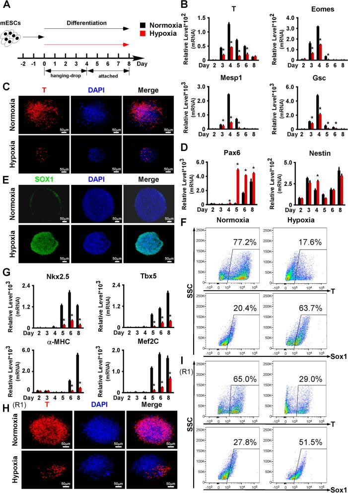 https://cdn.ncbi.nlm.nih.gov/pmc/blobs/84a1/9536055/7dacb2b868d4/12915_2022_1423_Fig1_HTML.jpg