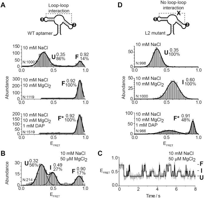 https://cdn.ncbi.nlm.nih.gov/pmc/blobs/84a4/8191784/174a667c5d30/gkab307fig2.jpg