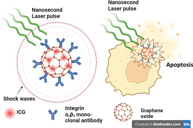 https://cdn.ncbi.nlm.nih.gov/pmc/blobs/84a5/11668716/ca6ea3401ae6/11671_2024_4173_Fig6_HTML.jpg
