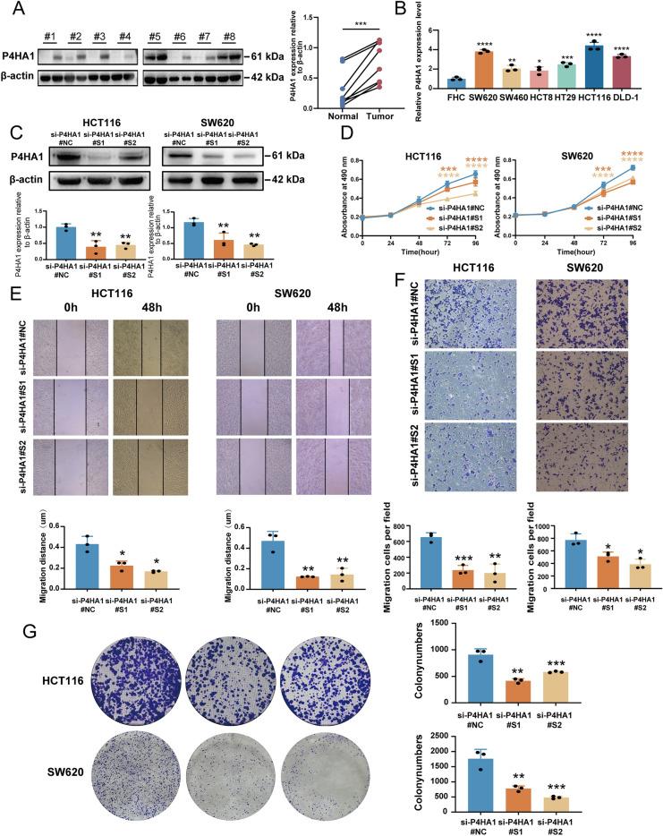 https://cdn.ncbi.nlm.nih.gov/pmc/blobs/84a6/11686350/1a6b8746fa27/41598_2024_82625_Fig9_HTML.jpg