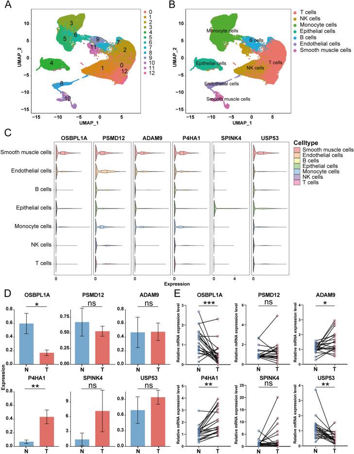 https://cdn.ncbi.nlm.nih.gov/pmc/blobs/84a6/11686350/272d56ad3486/41598_2024_82625_Fig7_HTML.jpg