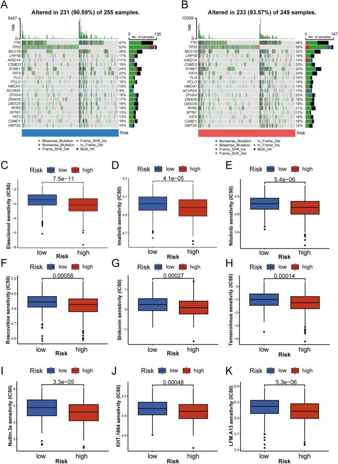 https://cdn.ncbi.nlm.nih.gov/pmc/blobs/84a6/11686350/2b9cd944e1f0/41598_2024_82625_Fig6_HTML.jpg
