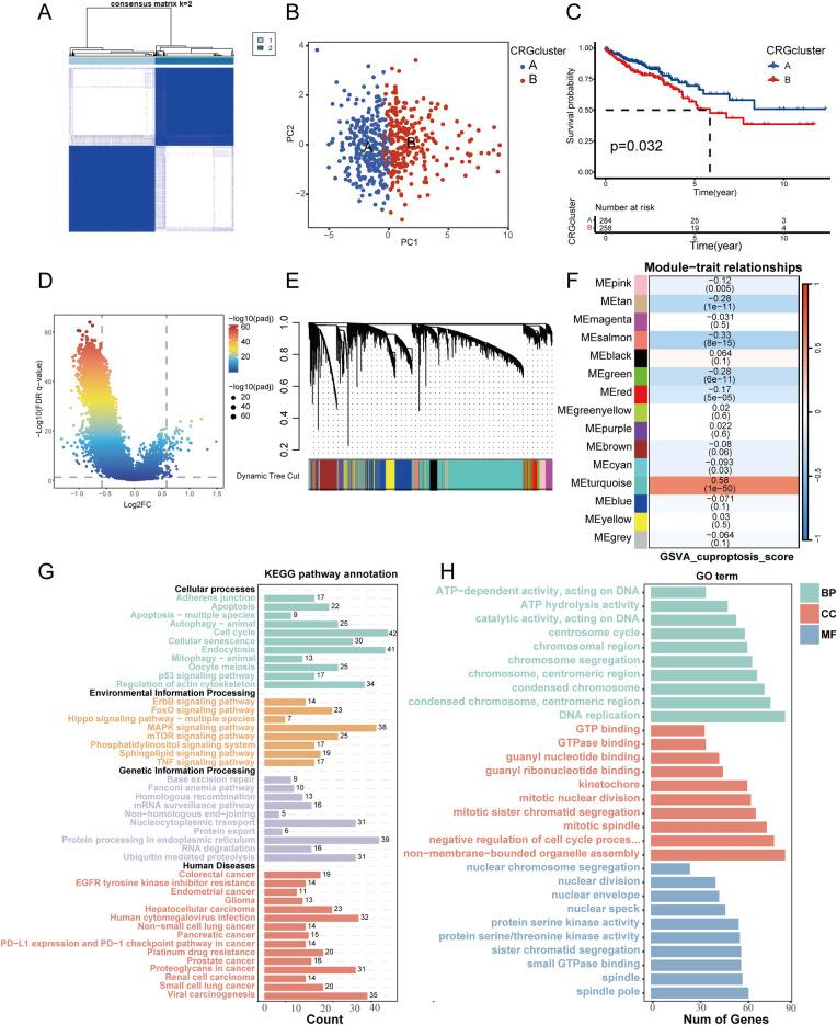https://cdn.ncbi.nlm.nih.gov/pmc/blobs/84a6/11686350/3c1122dfb6ec/41598_2024_82625_Fig2_HTML.jpg