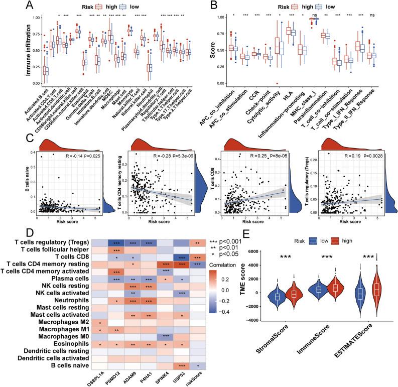 https://cdn.ncbi.nlm.nih.gov/pmc/blobs/84a6/11686350/8983b661e92e/41598_2024_82625_Fig5_HTML.jpg