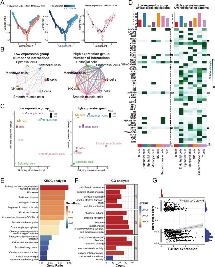 https://cdn.ncbi.nlm.nih.gov/pmc/blobs/84a6/11686350/dff0b3dcd291/41598_2024_82625_Fig8_HTML.jpg