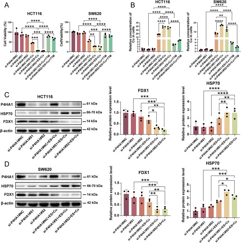 https://cdn.ncbi.nlm.nih.gov/pmc/blobs/84a6/11686350/f5b6aed520c6/41598_2024_82625_Fig11_HTML.jpg