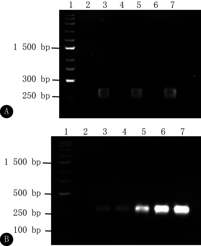 https://cdn.ncbi.nlm.nih.gov/pmc/blobs/84a6/12207055/3bae70a90bc9/scdxxbyxb-56-2-549-2.jpg