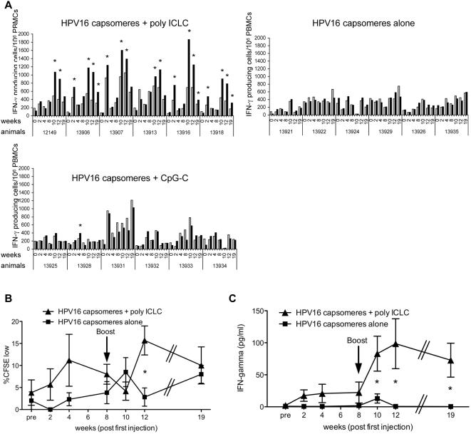 https://cdn.ncbi.nlm.nih.gov/pmc/blobs/84a7/2660151/039eed212e3a/ppat.1000373.g002.jpg