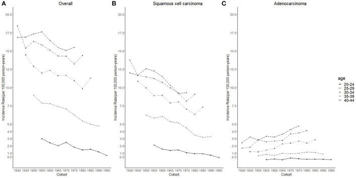 https://cdn.ncbi.nlm.nih.gov/pmc/blobs/84a7/9859059/e407b528b36e/fpubh-10-998174-g0003.jpg