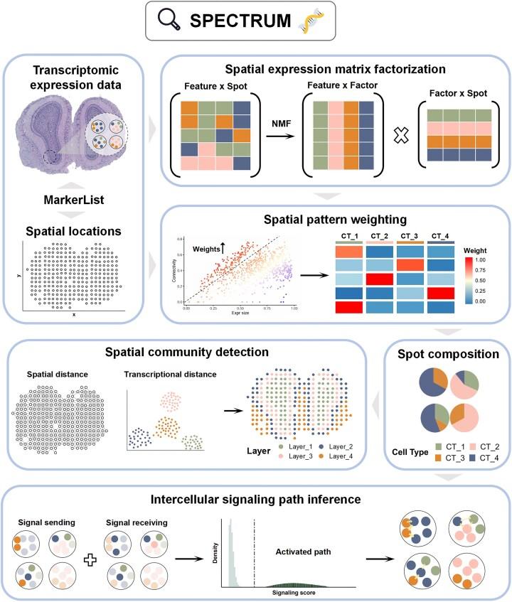 https://cdn.ncbi.nlm.nih.gov/pmc/blobs/84a8/12311794/bde2ebed6fea/lqaf106fig1.jpg