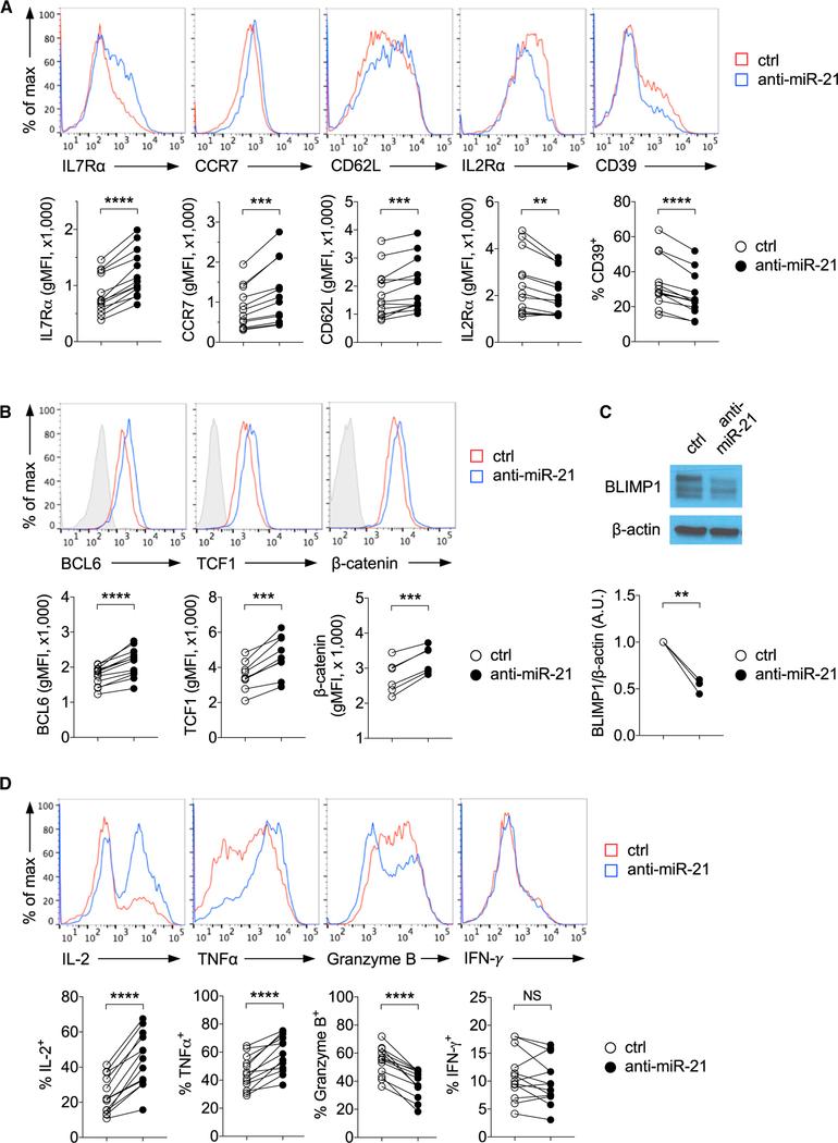 https://cdn.ncbi.nlm.nih.gov/pmc/blobs/84a8/6371971/662b883ccd53/nihms-1515790-f0003.jpg