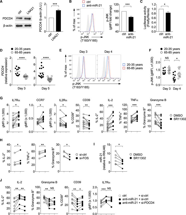 https://cdn.ncbi.nlm.nih.gov/pmc/blobs/84a8/6371971/975cc34c99bb/nihms-1515790-f0005.jpg