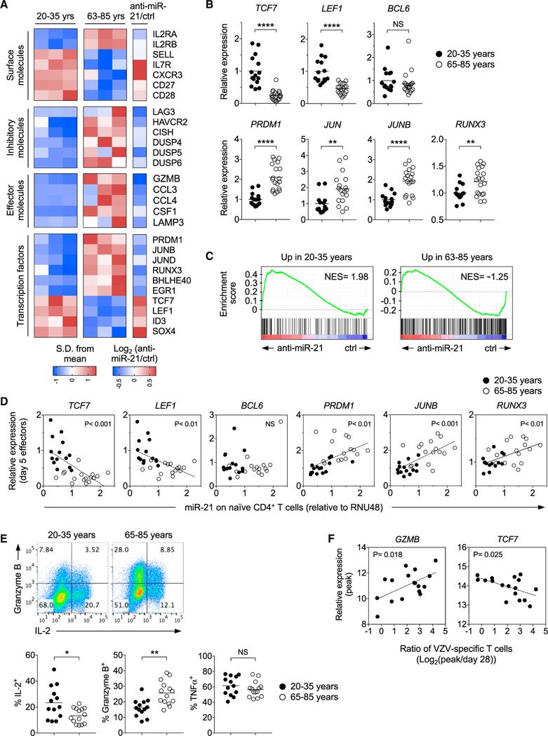 https://cdn.ncbi.nlm.nih.gov/pmc/blobs/84a8/6371971/ef1db654ad15/nihms-1515790-f0004.jpg