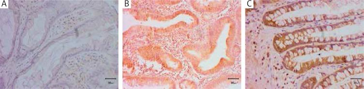 https://cdn.ncbi.nlm.nih.gov/pmc/blobs/84ac/4355662/ea3a64dc3897/WO-18-24238-g001.jpg
