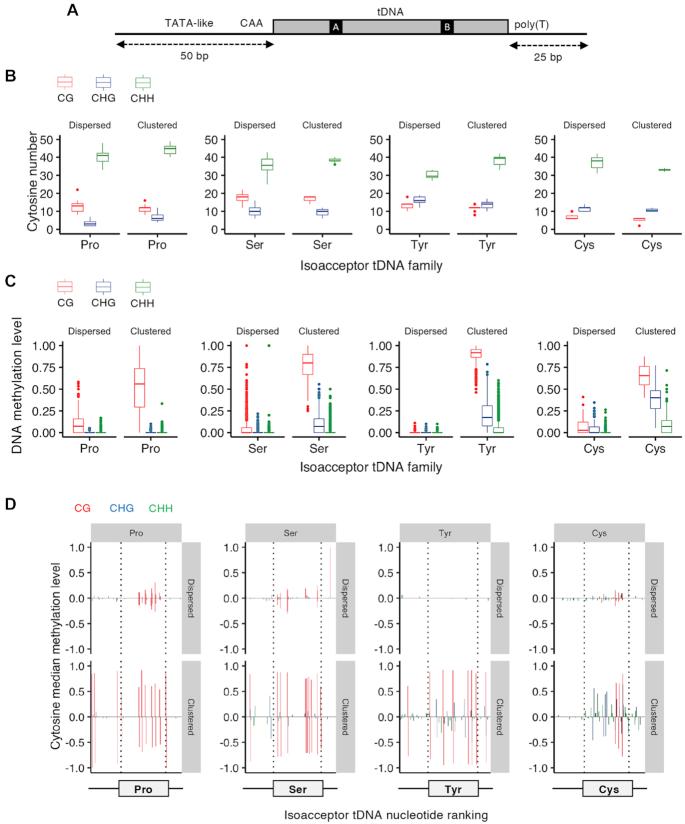 https://cdn.ncbi.nlm.nih.gov/pmc/blobs/84ad/7544208/097e5d94512a/gkaa766fig3.jpg