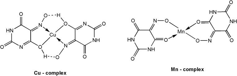 https://cdn.ncbi.nlm.nih.gov/pmc/blobs/84af/10070197/d97715814c2a/gr2_lrg.jpg