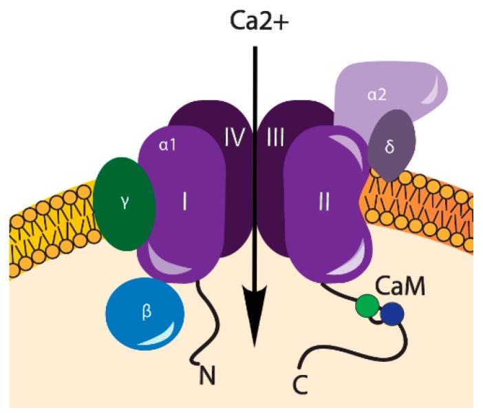https://cdn.ncbi.nlm.nih.gov/pmc/blobs/84af/6212952/e069a323d6f7/ijms-19-02998-g002.jpg