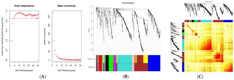 https://cdn.ncbi.nlm.nih.gov/pmc/blobs/84b1/8949287/3f599576424b/genes-13-00464-g001.jpg
