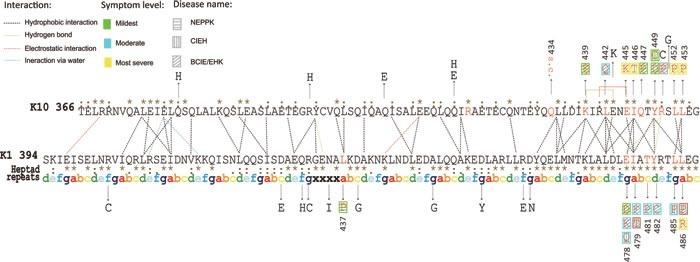 https://cdn.ncbi.nlm.nih.gov/pmc/blobs/84b2/5288147/49cc0ca0d339/oncotarget-07-52766-g002.jpg