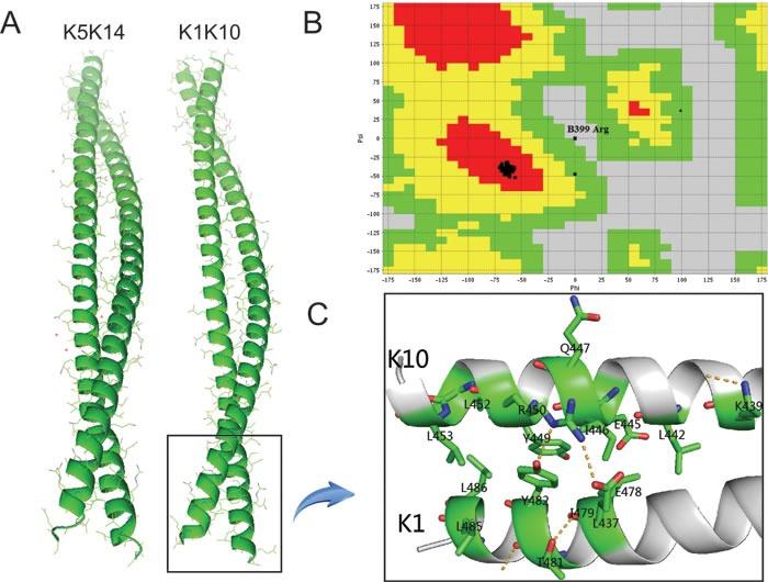 https://cdn.ncbi.nlm.nih.gov/pmc/blobs/84b2/5288147/7b99307bfca1/oncotarget-07-52766-g001.jpg