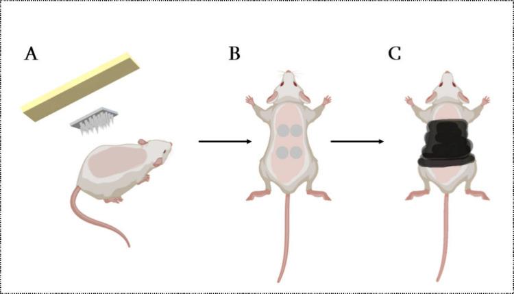 https://cdn.ncbi.nlm.nih.gov/pmc/blobs/84b3/11492242/49ae2494269e/am4c05517_0003.jpg
