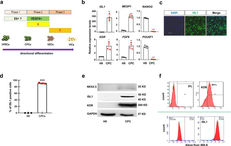 https://cdn.ncbi.nlm.nih.gov/pmc/blobs/84b5/8421482/10f6af5b7ca3/42003_2021_2571_Fig1_HTML.jpg