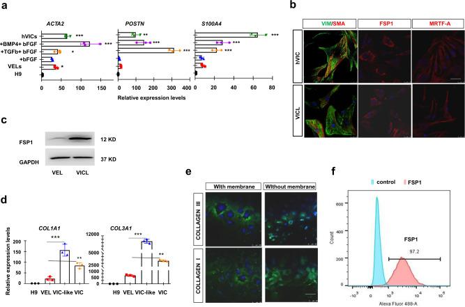 https://cdn.ncbi.nlm.nih.gov/pmc/blobs/84b5/8421482/220a637a00a7/42003_2021_2571_Fig7_HTML.jpg