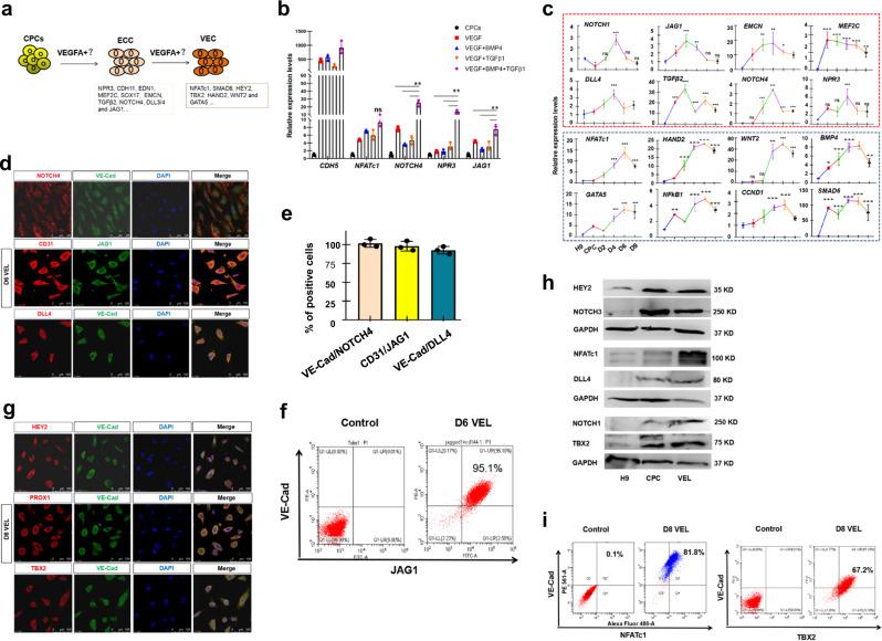 https://cdn.ncbi.nlm.nih.gov/pmc/blobs/84b5/8421482/c51443f04039/42003_2021_2571_Fig2_HTML.jpg