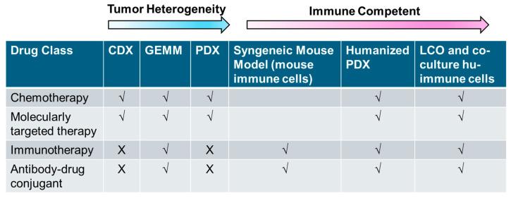https://cdn.ncbi.nlm.nih.gov/pmc/blobs/84b6/11718887/f064cc60c195/cancers-17-00022-g003.jpg
