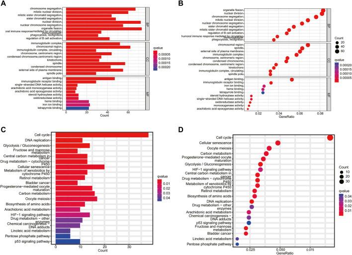 https://cdn.ncbi.nlm.nih.gov/pmc/blobs/84b8/9357940/1502b32a7f29/fgene-13-900713-g007.jpg