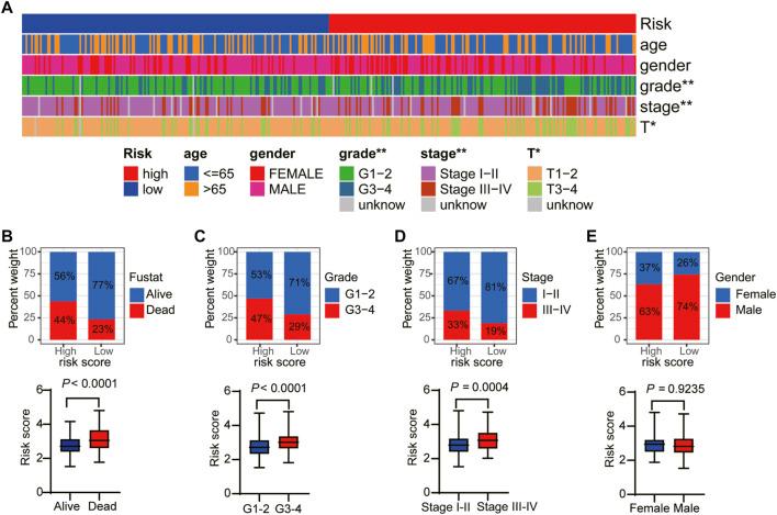 https://cdn.ncbi.nlm.nih.gov/pmc/blobs/84b8/9357940/1d4bccca18ee/fgene-13-900713-g006.jpg