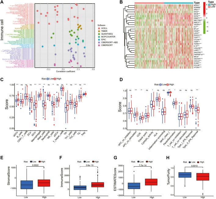 https://cdn.ncbi.nlm.nih.gov/pmc/blobs/84b8/9357940/30083261a3a7/fgene-13-900713-g008.jpg