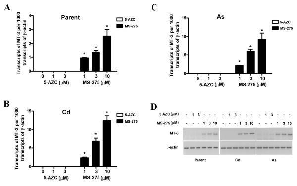 https://cdn.ncbi.nlm.nih.gov/pmc/blobs/84b9/3041731/541825a0e342/1475-2867-11-2-1.jpg