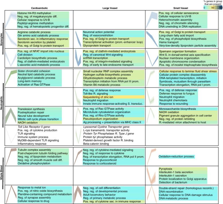 https://cdn.ncbi.nlm.nih.gov/pmc/blobs/84ba/9942321/bb3c7bb927b0/12916_2023_2766_Fig8_HTML.jpg