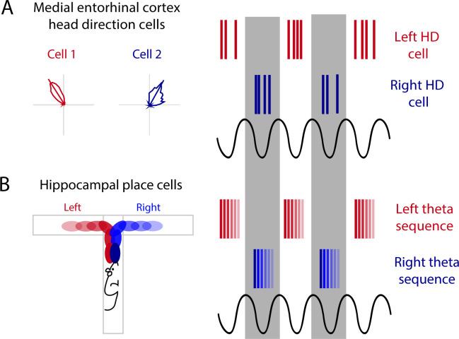 https://cdn.ncbi.nlm.nih.gov/pmc/blobs/84be/8516414/8e2e325c7fad/elife-68795-fig3.jpg