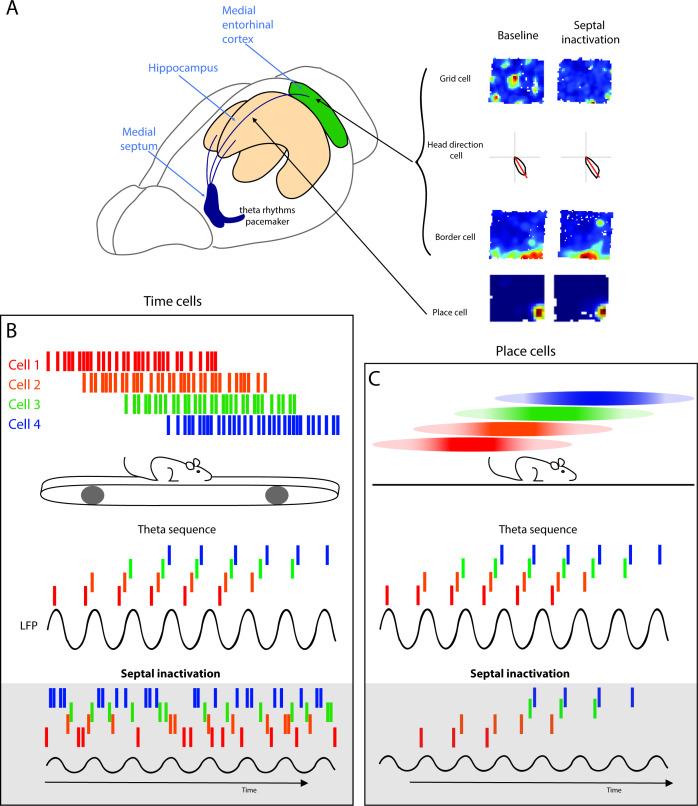 https://cdn.ncbi.nlm.nih.gov/pmc/blobs/84be/8516414/e70157df0ecb/elife-68795-fig2.jpg