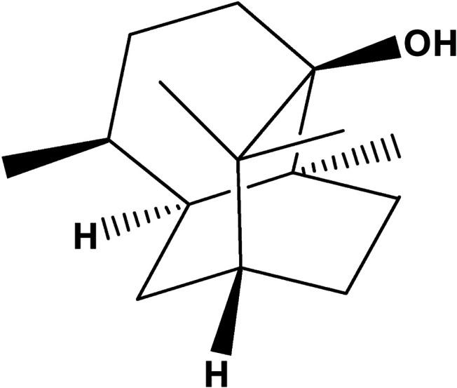 https://cdn.ncbi.nlm.nih.gov/pmc/blobs/84c0/8120110/90099c30b1a6/fphar-12-666903-g001.jpg