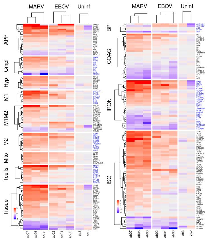 https://cdn.ncbi.nlm.nih.gov/pmc/blobs/84c1/9958679/5e445b5b6074/viruses-15-00350-g004.jpg