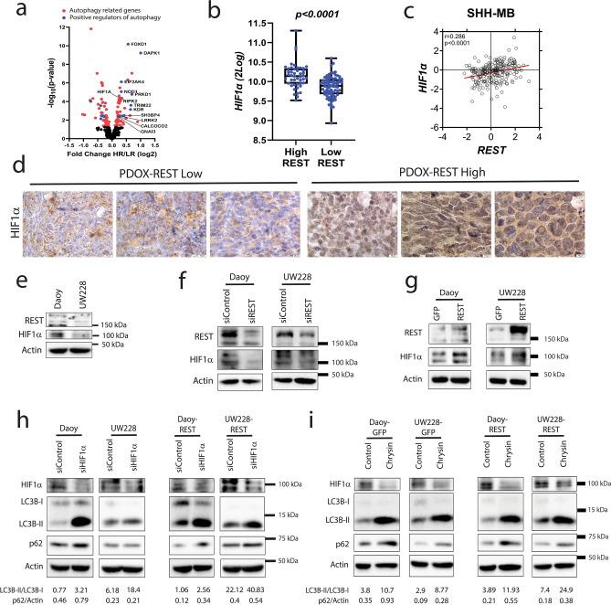 https://cdn.ncbi.nlm.nih.gov/pmc/blobs/84c2/11169471/ed25678b9e58/41598_2024_63371_Fig3_HTML.jpg