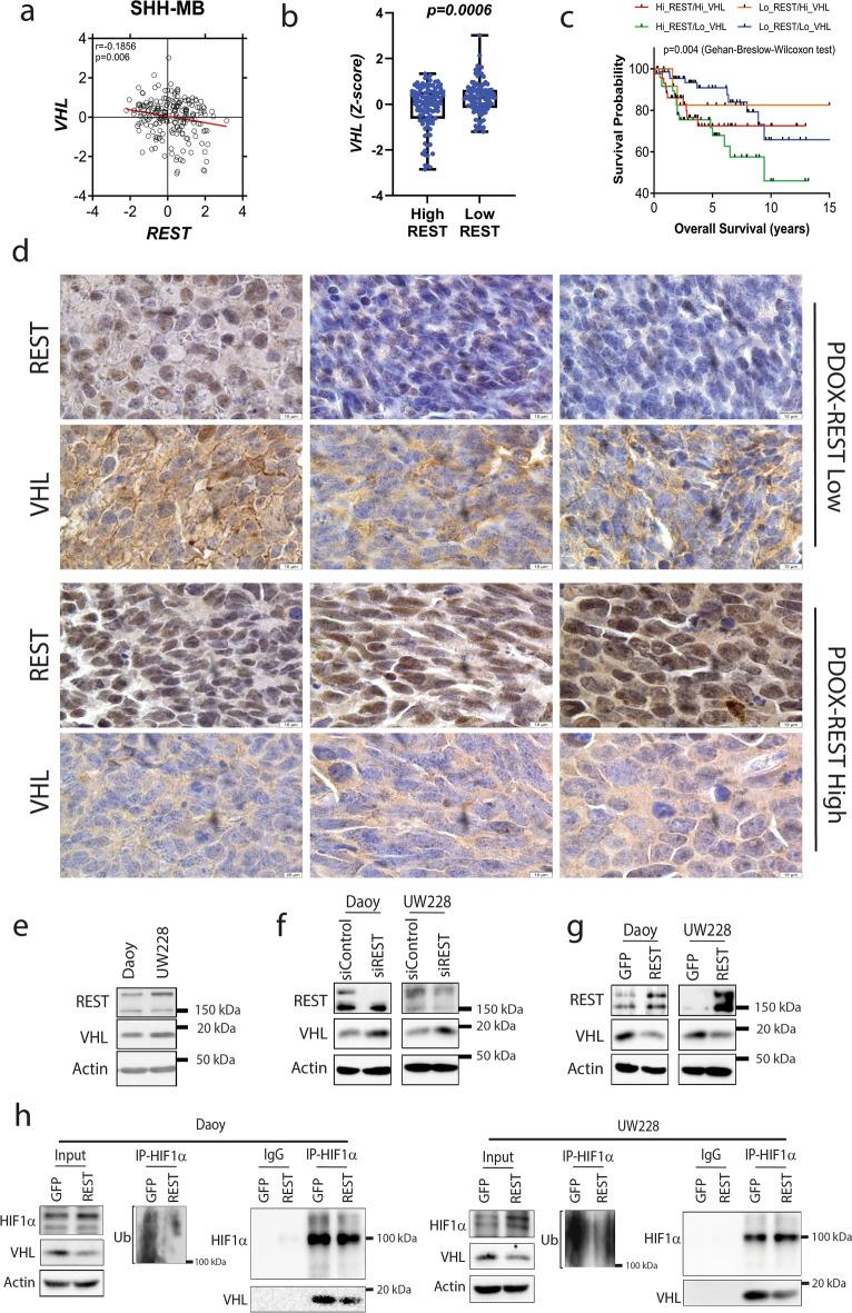 https://cdn.ncbi.nlm.nih.gov/pmc/blobs/84c2/11169471/f8f8bfff8120/41598_2024_63371_Fig4_HTML.jpg
