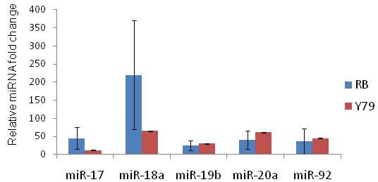 https://cdn.ncbi.nlm.nih.gov/pmc/blobs/84c2/3436882/c27a608b60c7/mv-v18-2279-f1.jpg